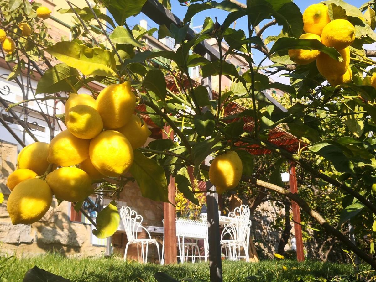 Florinda Lemon'S Suite แชร์โว ภายนอก รูปภาพ