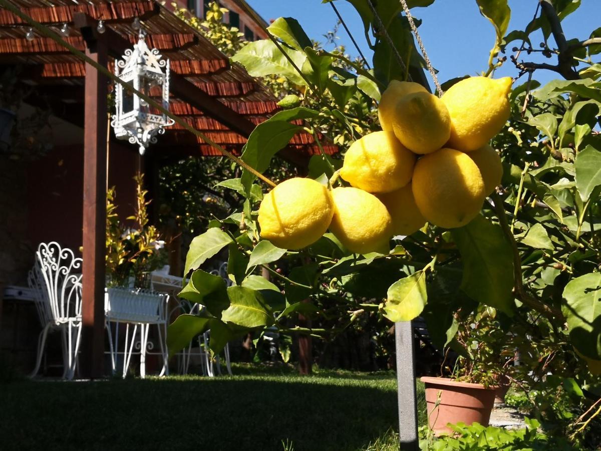 Florinda Lemon'S Suite แชร์โว ภายนอก รูปภาพ