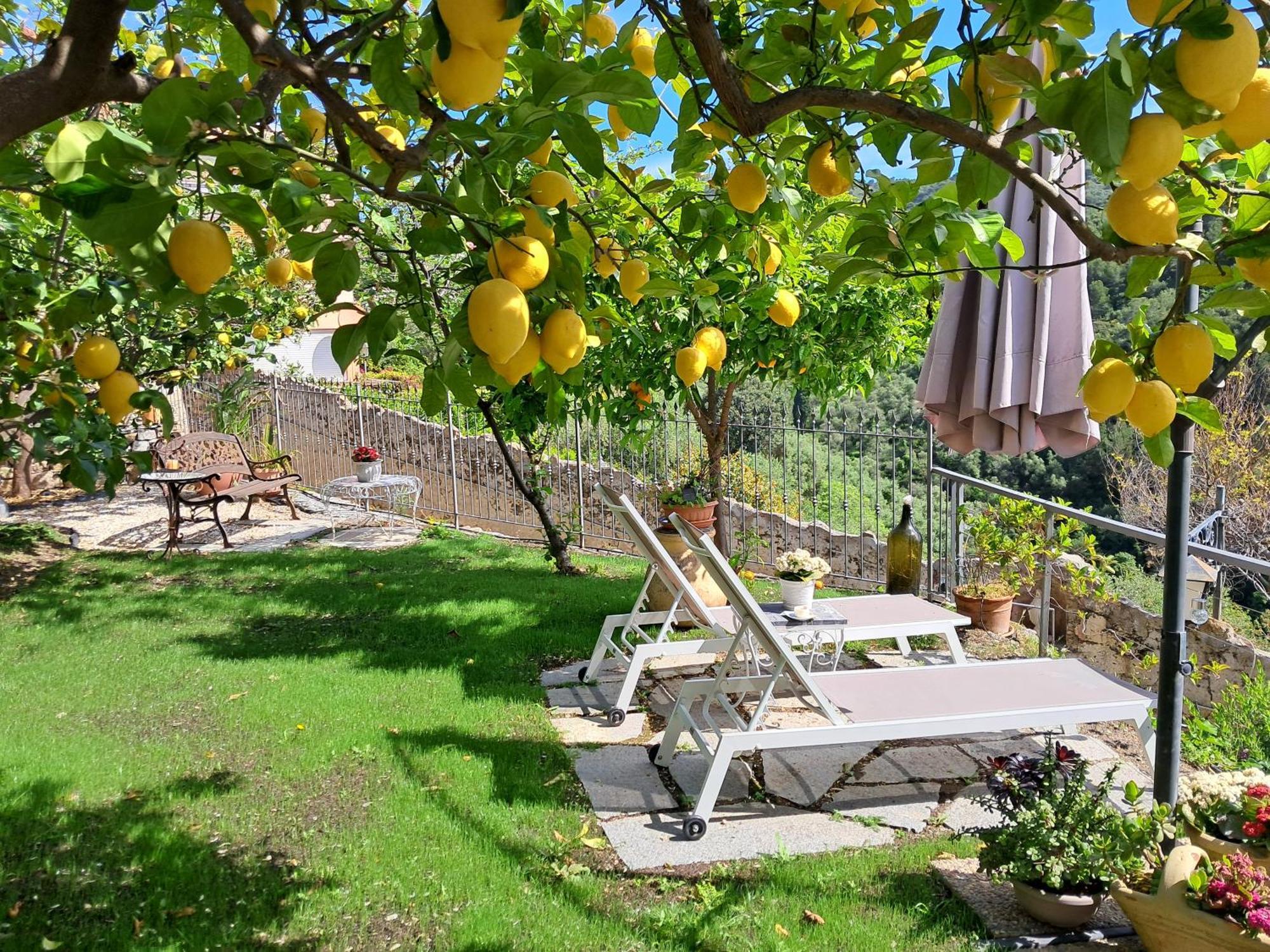 Florinda Lemon'S Suite แชร์โว ภายนอก รูปภาพ
